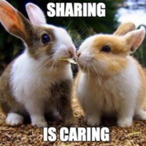 SHARE 5 OF MY THINGS & i"LL SHARE 5 OF YOURS